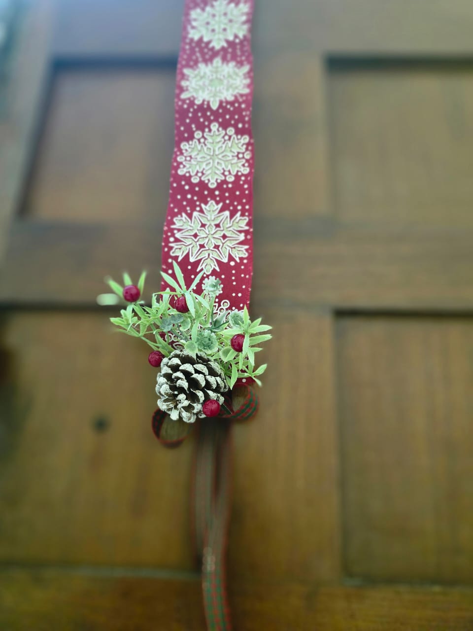 Christmas door scapular